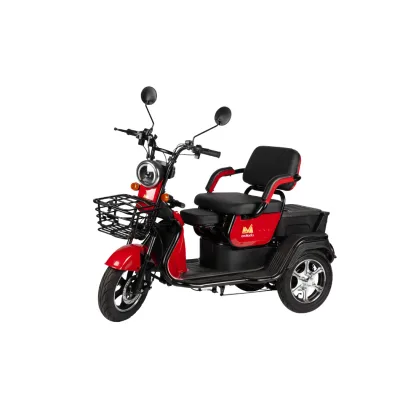 Triciclu Electric Persoane, 1000 w, 50 km, 24 km/h TRC1000 Evotools 682527