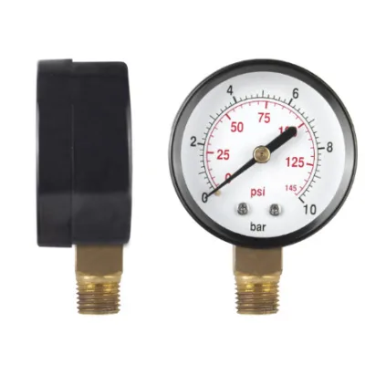 Manometru Pentru Apa Radial 0-10 bar, 1/4 inch Evotools 675454